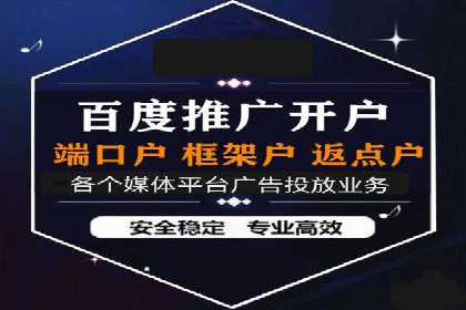竞价托管与SEO结合的案例分析